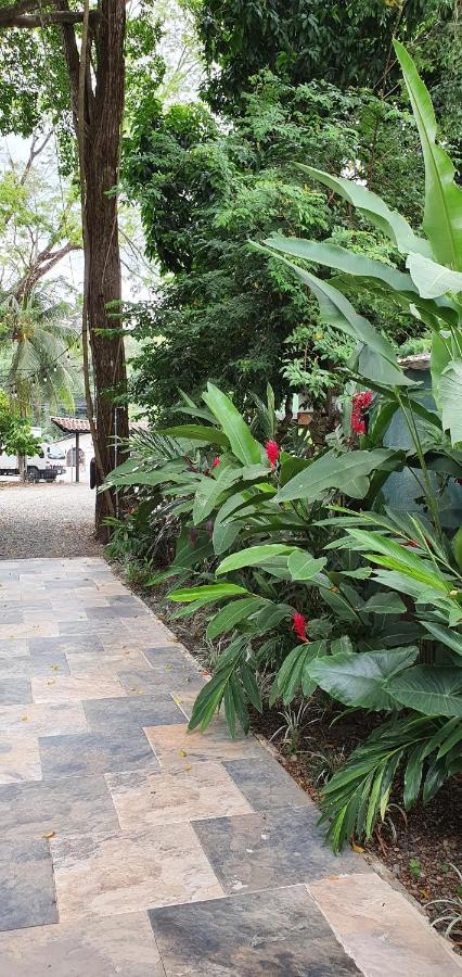 Tucan Hotel Uvita Eksteriør bilde
