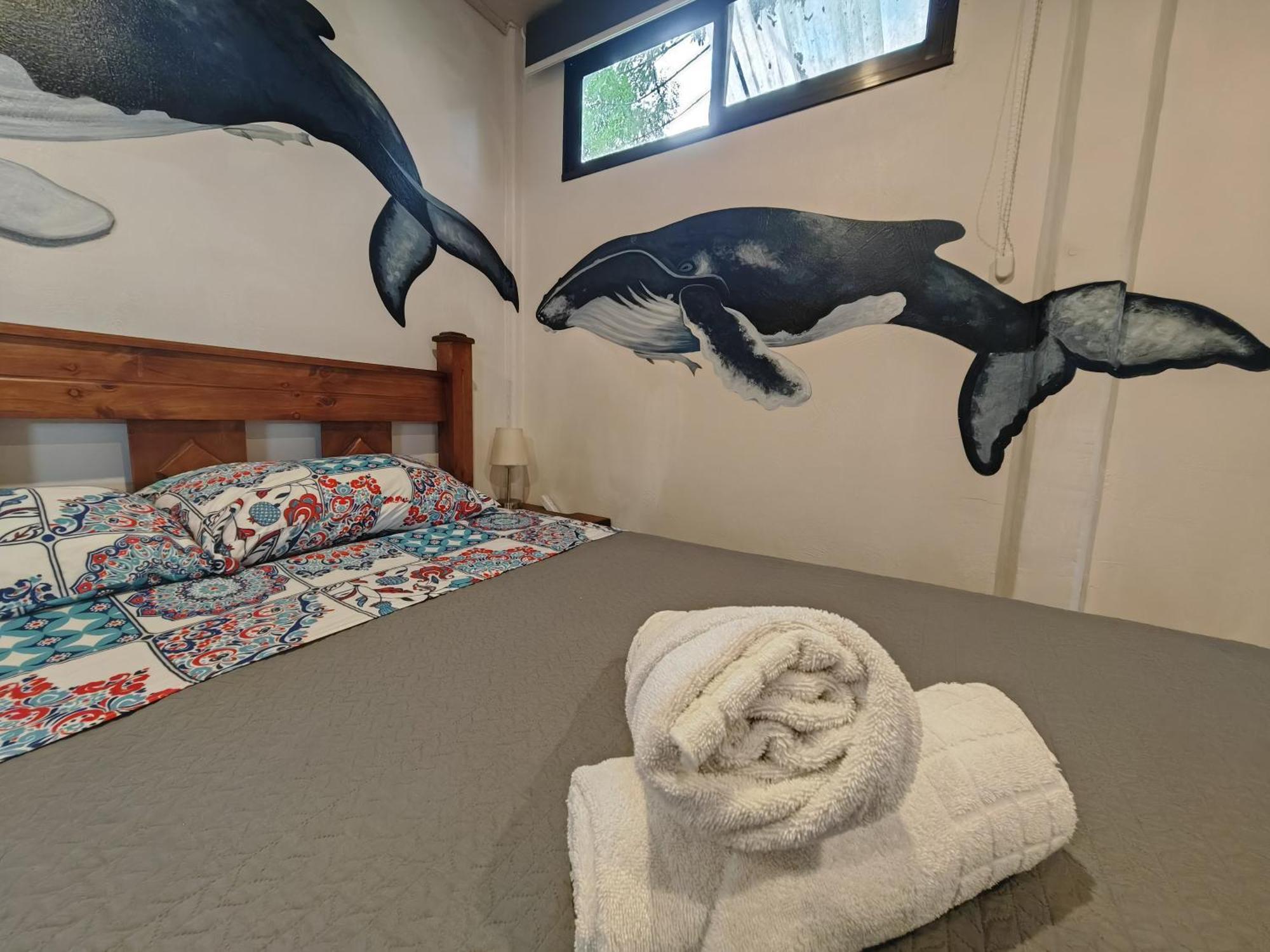 Tucan Hotel Uvita Rom bilde