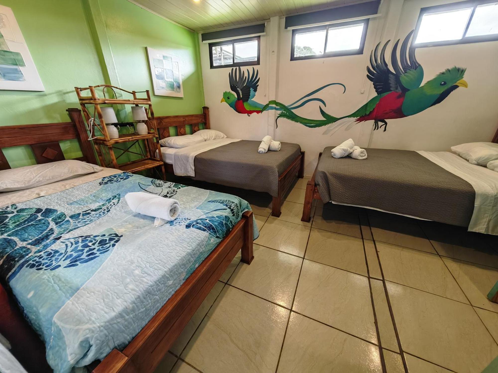 Tucan Hotel Uvita Rom bilde