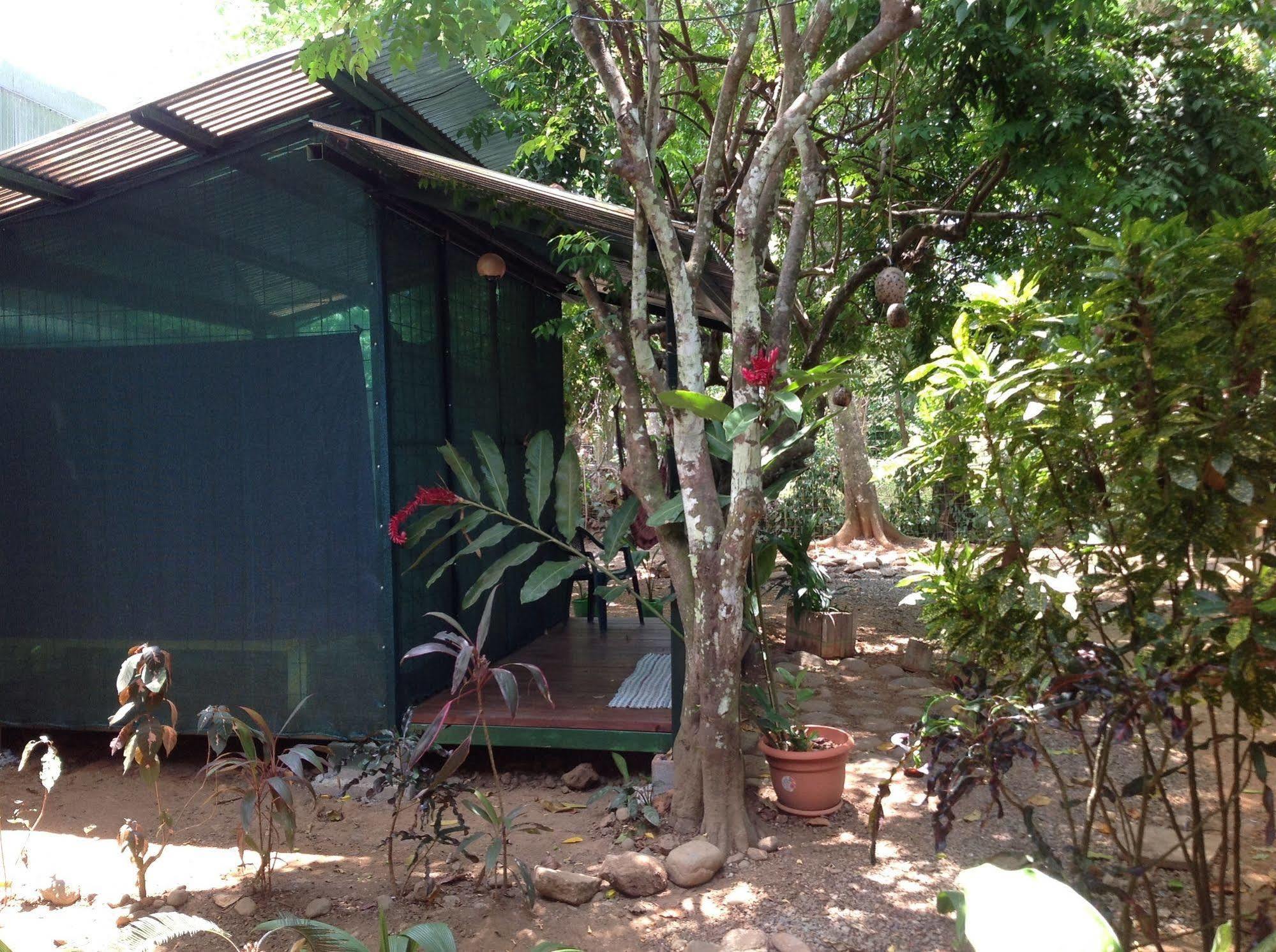 Tucan Hotel Uvita Eksteriør bilde